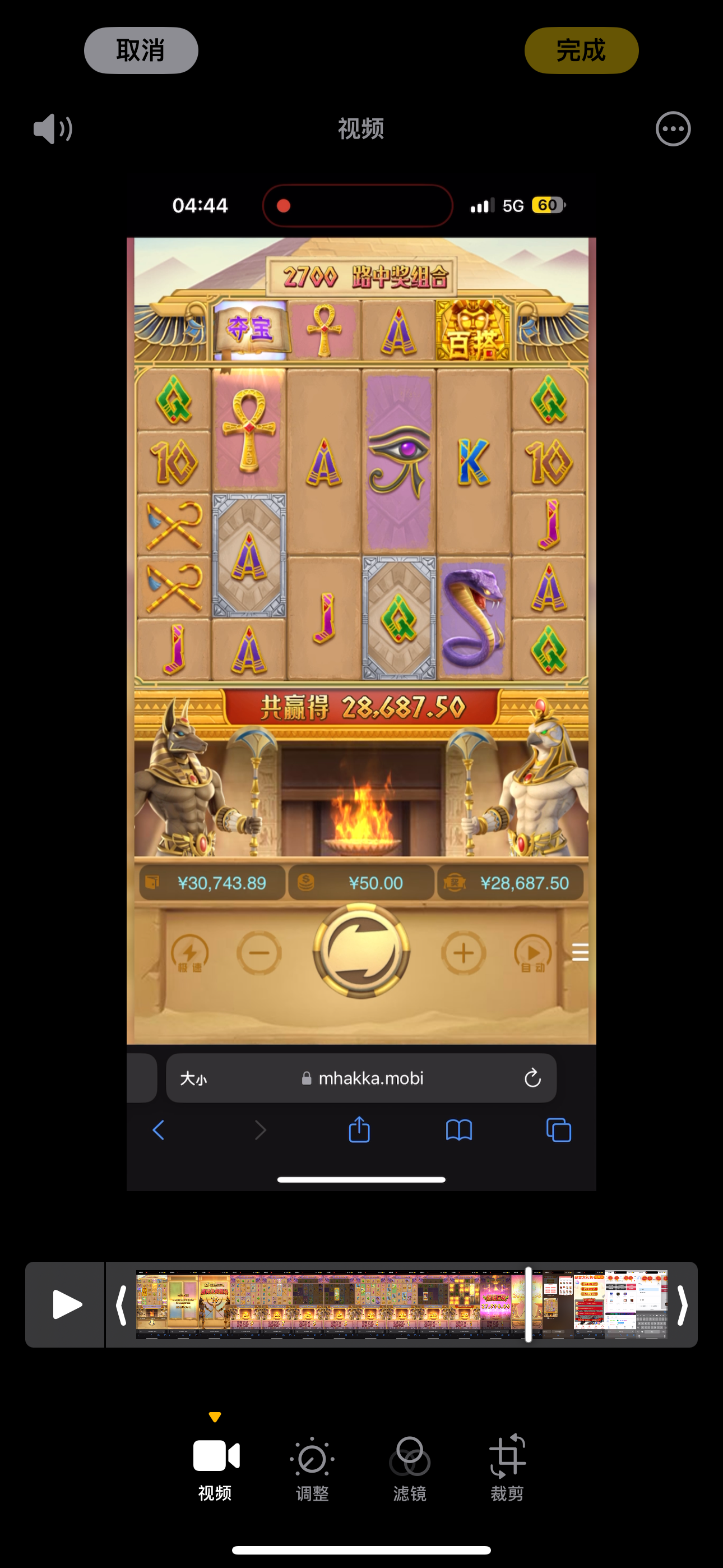 IMG_0562.png
